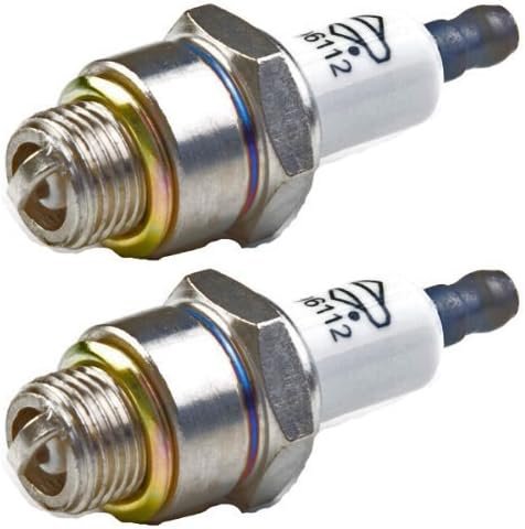 Briggs & Stratton 796112 2-Pack Spark Plug Replaces J19LM RJ19LM 802592 5095K