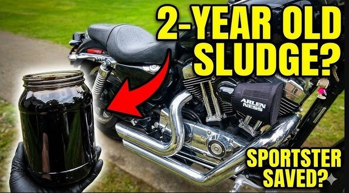best spark plugs for harley dyna