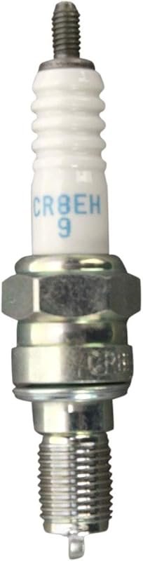 NGK Standard