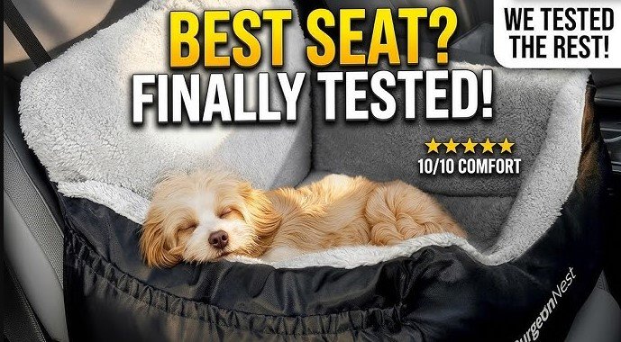 best car seats for dog