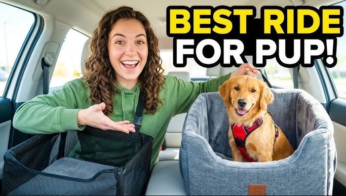 best car seats for dogs with anxiety