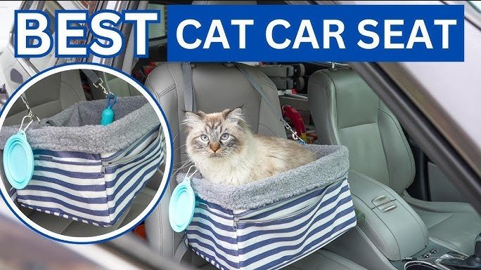 best cat car seats