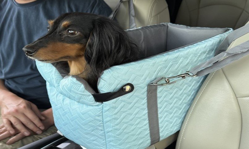 best dog console car seats