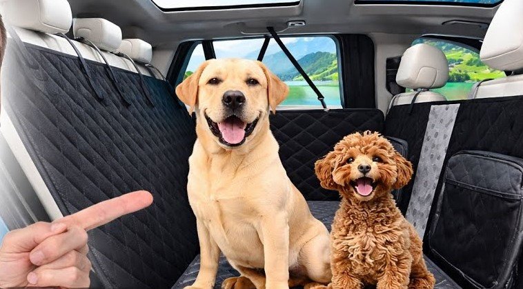 best dog seat covers for cars