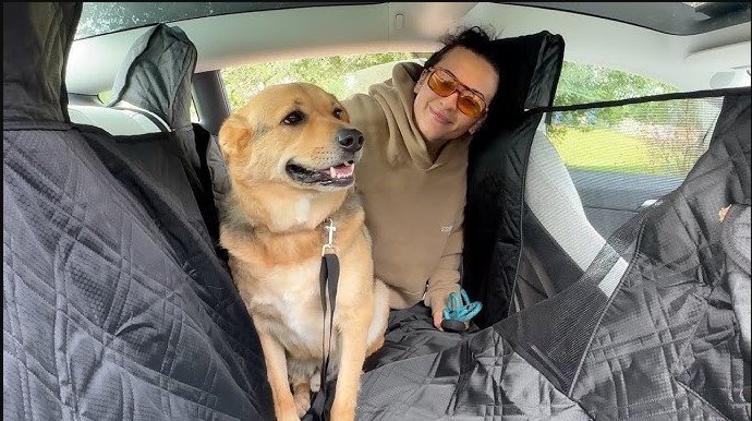 best pet covers for car seats
