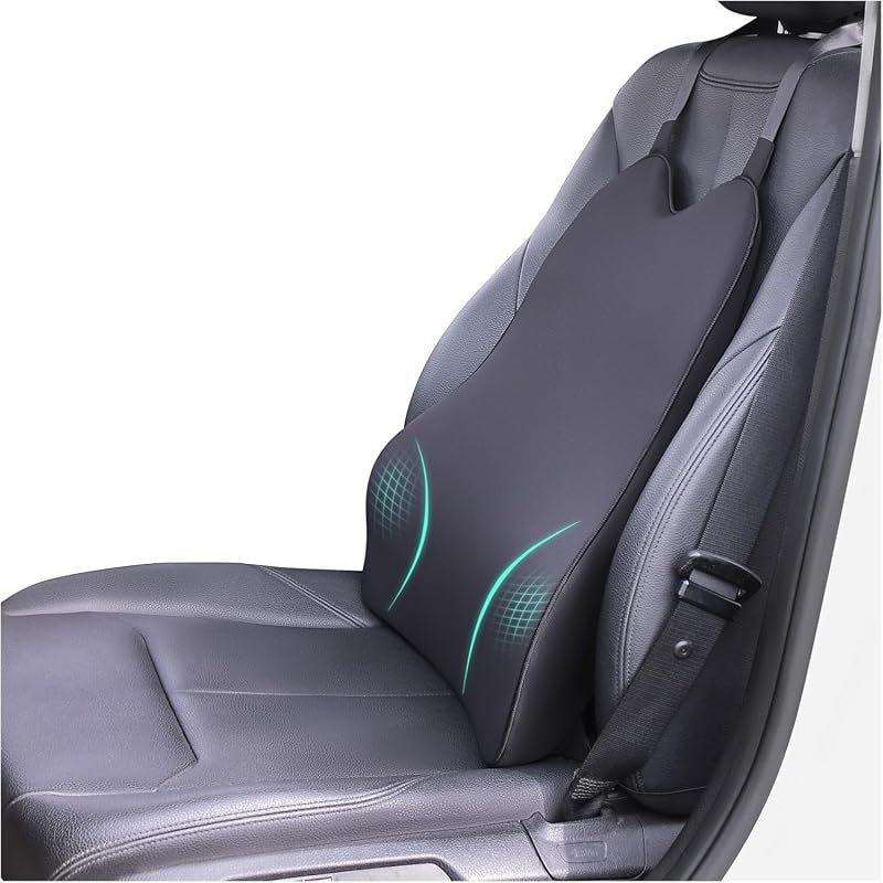 Memory Foam Lumbar Support Pillow