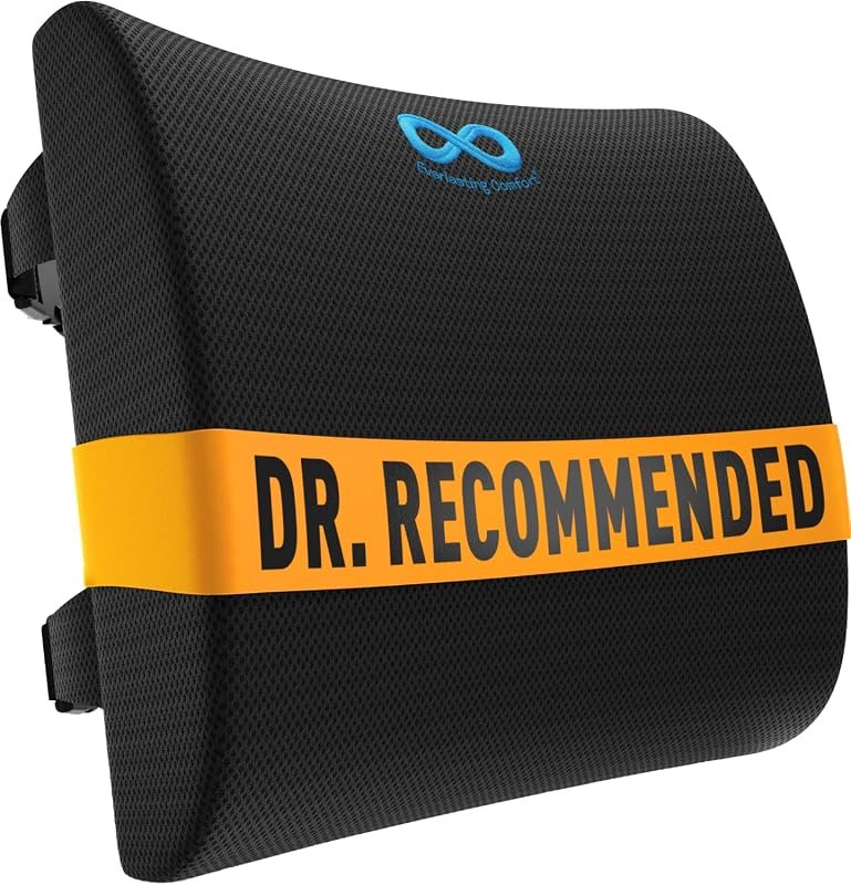 Everlasting Comfort Lumbar Support Pillow