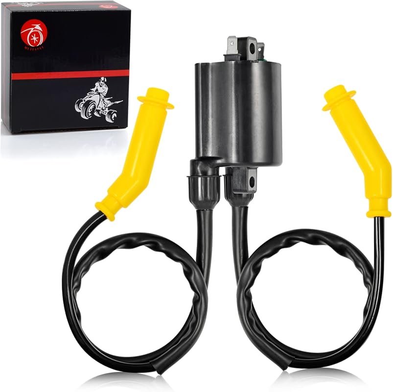 Ignition Coil and Spark Plug Wire Cap Set