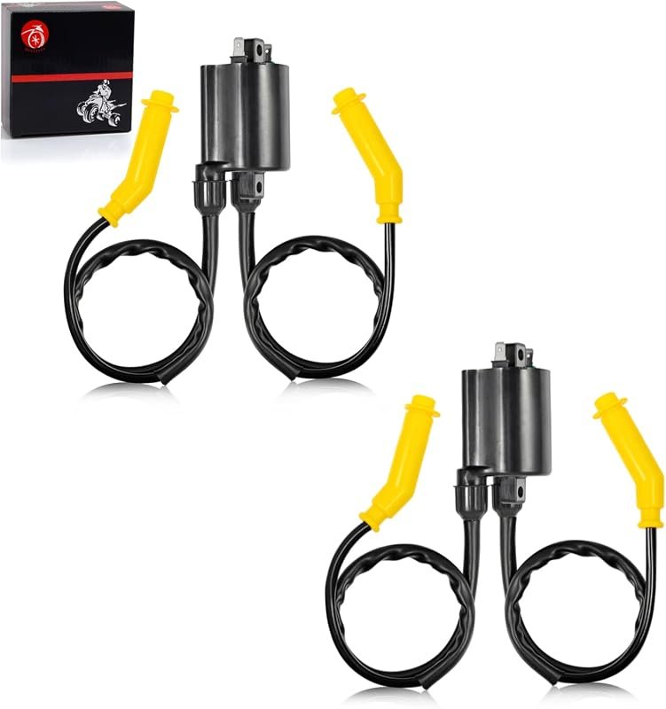 Ignition Coil and Spark Plug Wire Cap Set
