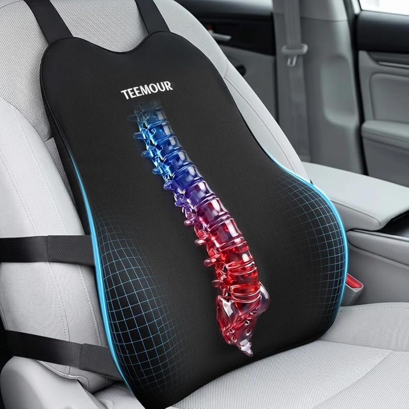 Teemour Lumbar Support Pillow