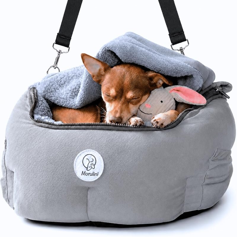 Orthopedic Small Dog Car Seat