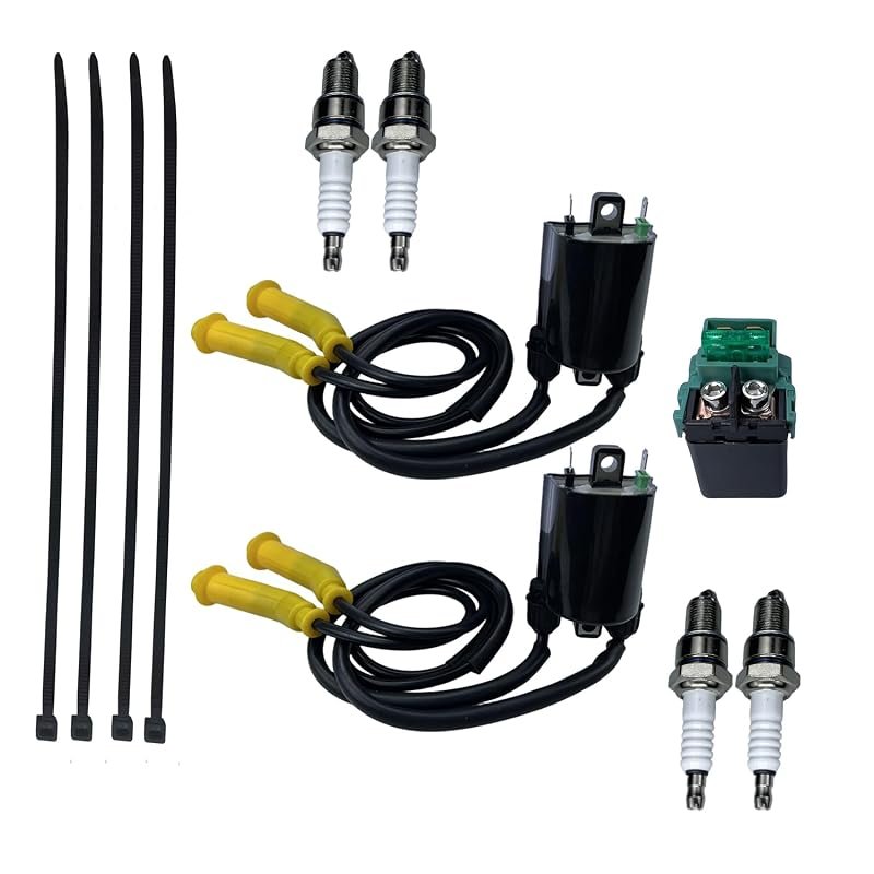 Ignition Coil with Spark Plug Wires