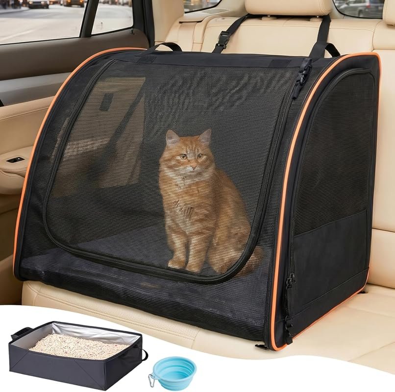 Cat Car Seat