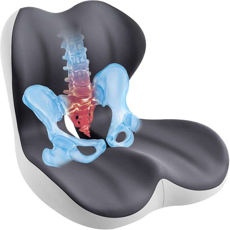 Seat Cushion and Back Support