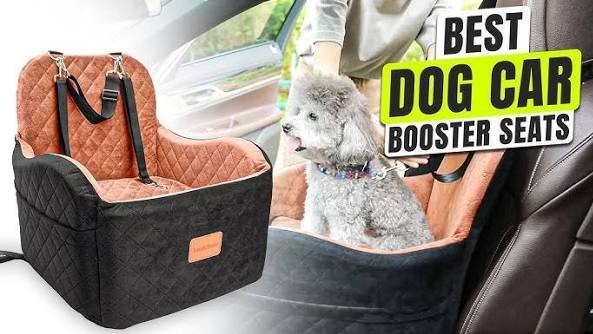 best booster car seats for dogs
