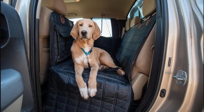 best car seat covers for dog hair