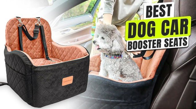 best car seats for small dogs