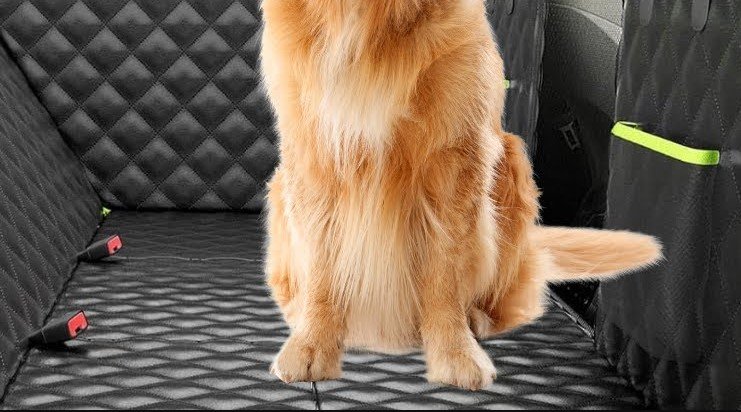 best dog car seat covers for leather seats