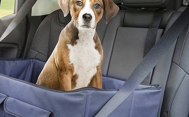 best dog car seats for medium dogs