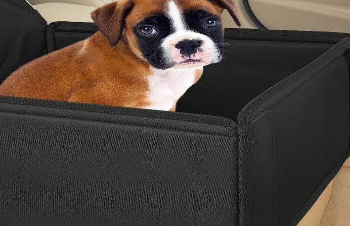 best rated dog car seats