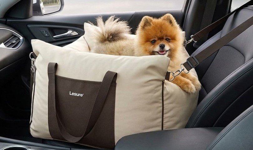 best small dog console car seats