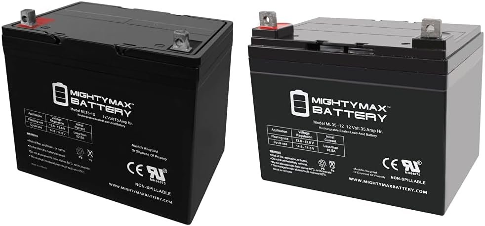 Mighty Max Battery