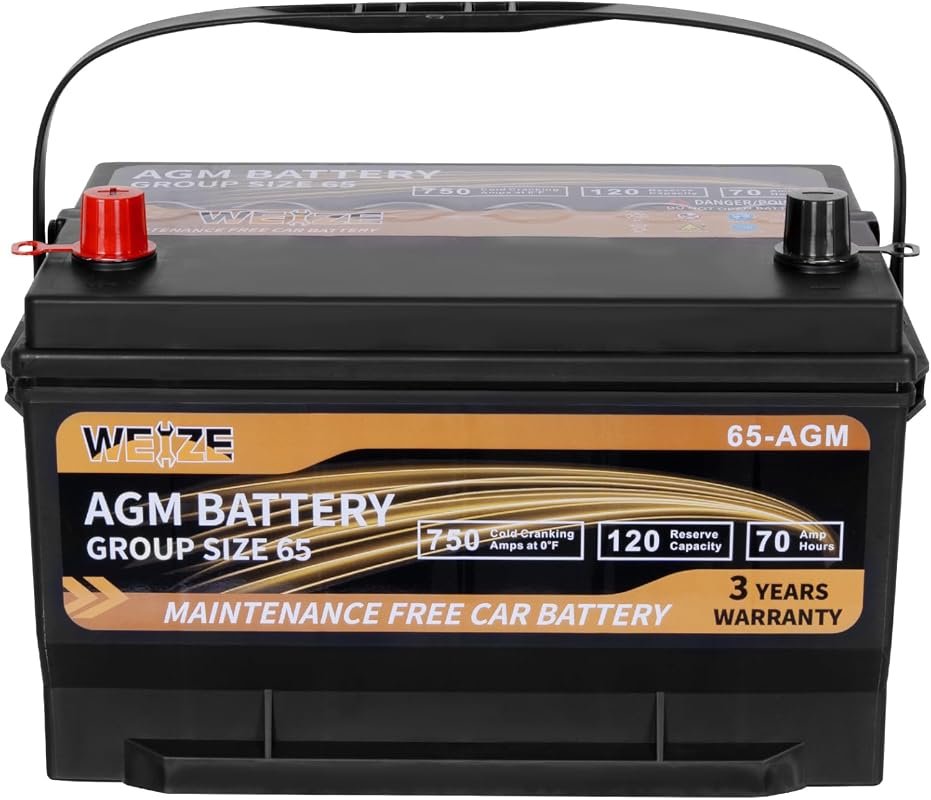Weize Platinum AGM Group 65 Battery
